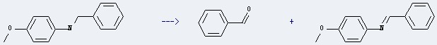 Benzenemethanamine,N-(4-methoxyphenyl)- can be used to produce N-benzylidene-4-methoxy-aniline and N-benzyl-p-anisidine.